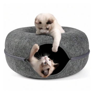 Omaicat Cave